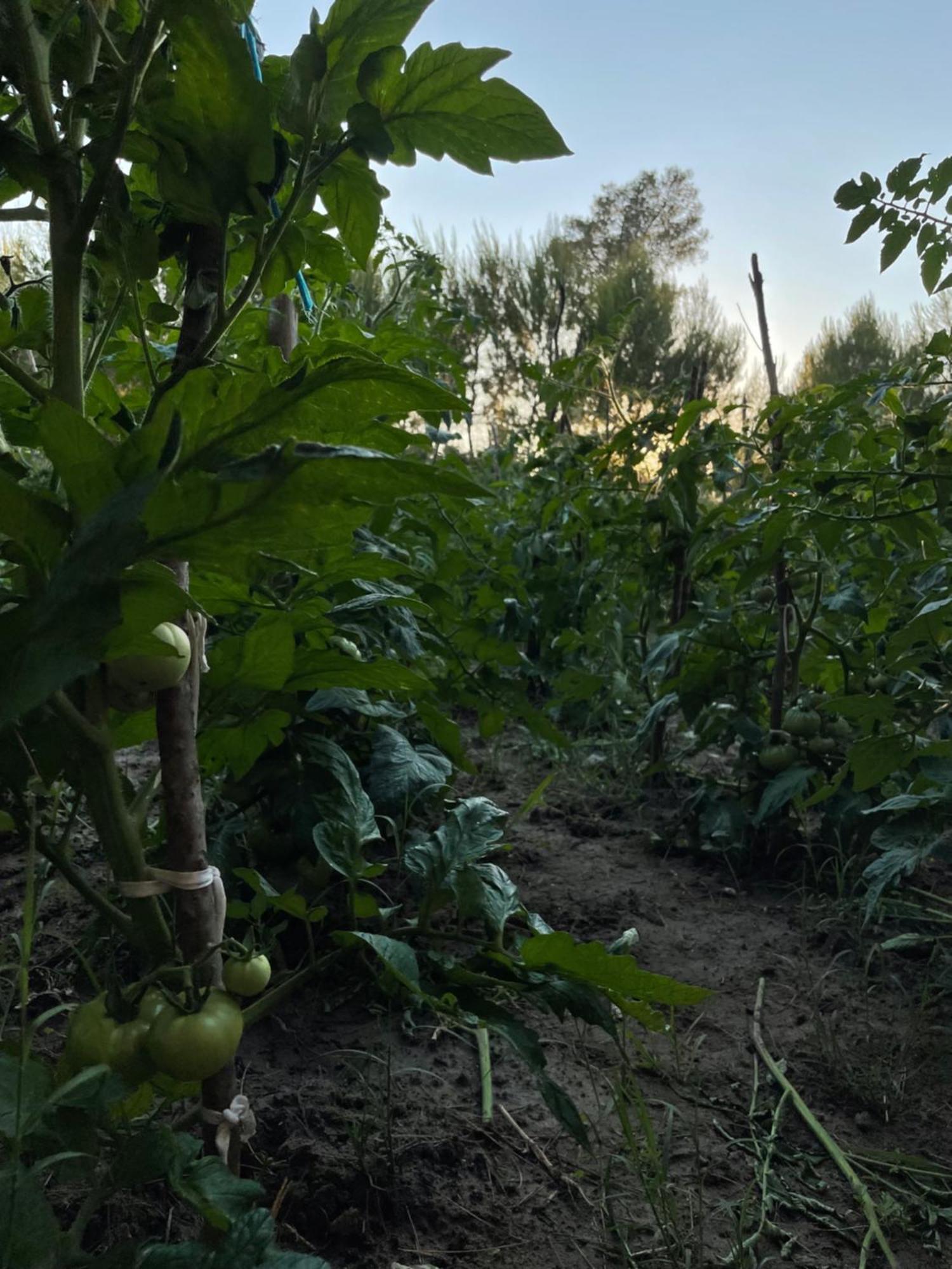 Agroturizem Eldi 호텔 피에르 외부 사진