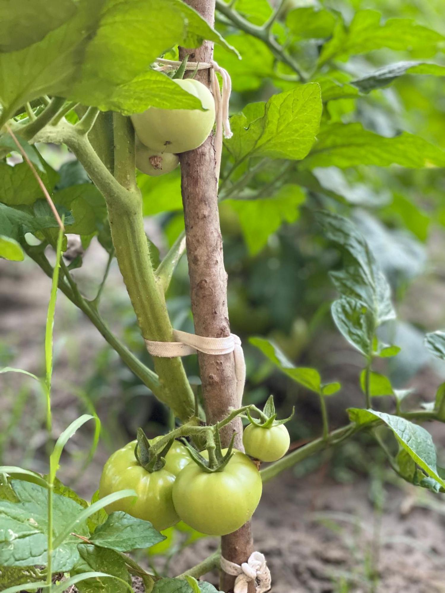 Agroturizem Eldi 호텔 피에르 외부 사진